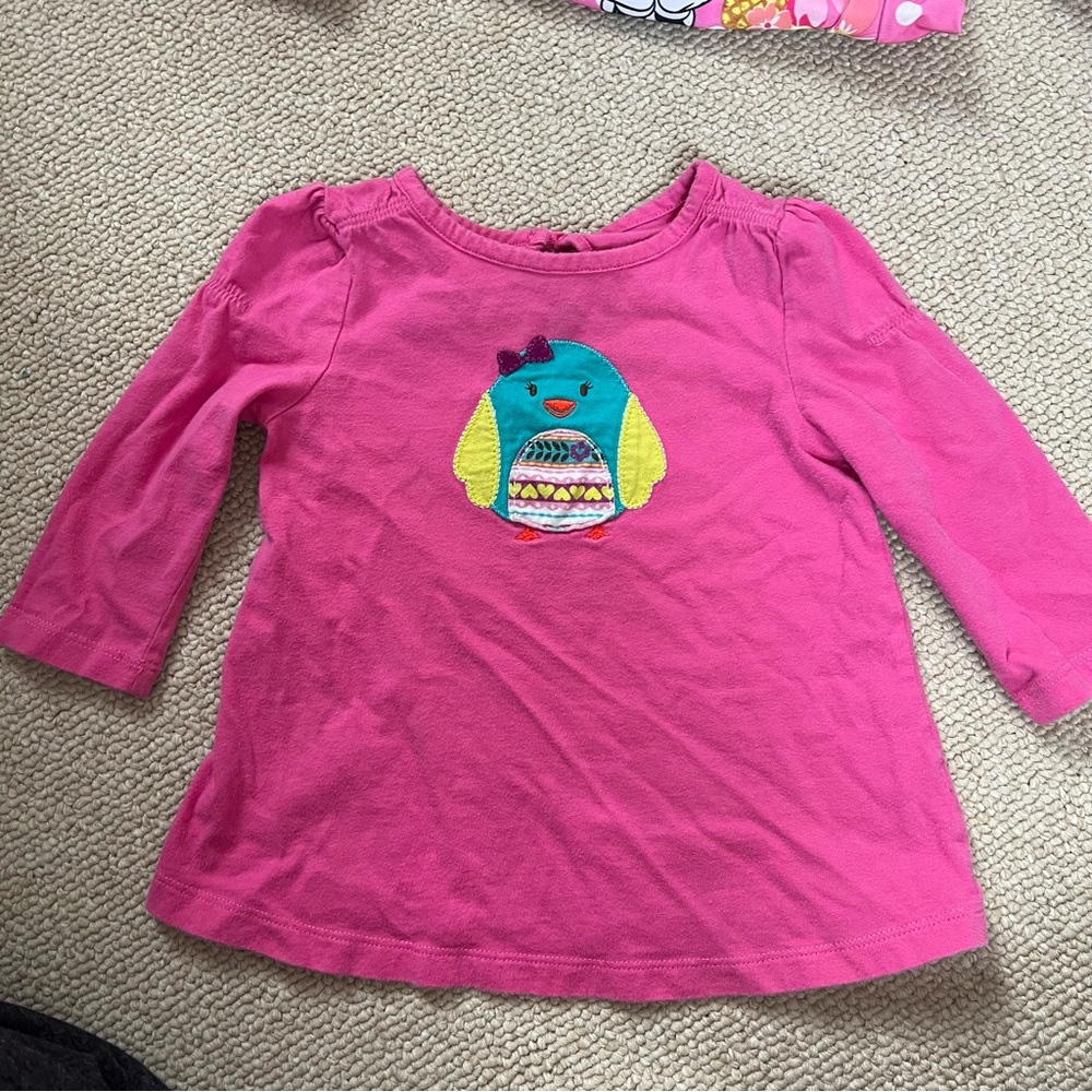 Toddler Girl Bird Shirt - Picture 1 of 4